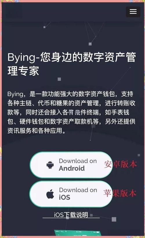 数字钱包安全性_如何安全地进行tp钱包官方正版下载，保护你的数字资产_数字钱包中的资产如何变现